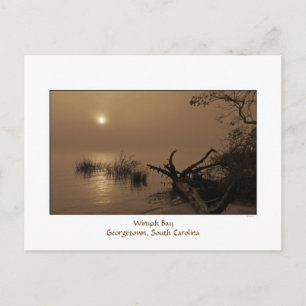 Carte postale Foggy Bay Morning