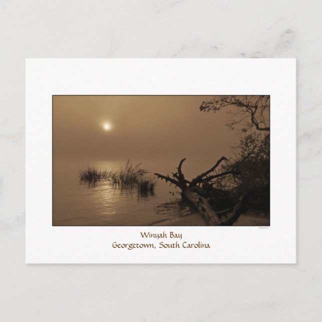 Carte postale Foggy Bay Morning (Devant)