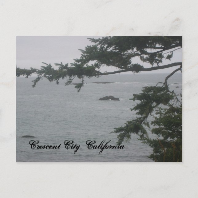 Carte Postale Foggy Day à Crescent City (Devant)
