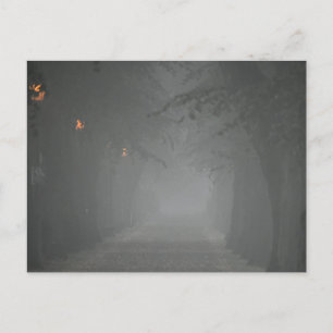 Carte Postale Foggy Morning