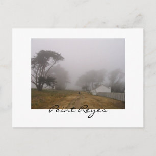 Carte postale Foggy Point Reyes