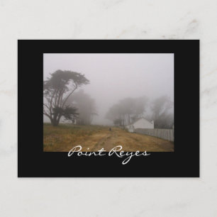 Carte postale Foggy Point Reyes