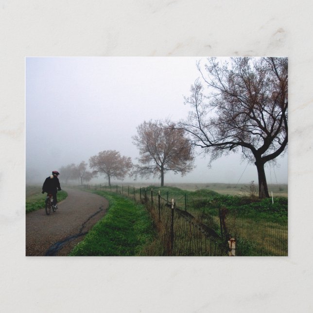 Carte Postale Foggy Rider (Devant)