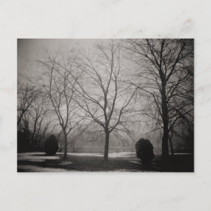 Carte postale Foggy Winter Melding Snow Art