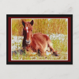 Carte Postale Foie de Cheval Sauvage