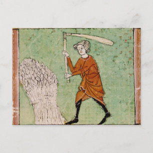 Carte Postale Fol.59r Août : Threshing Wheat