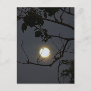 Carte Postale Folie Pleine lune