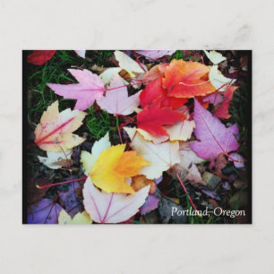 Carte Postale Folithe d'automne