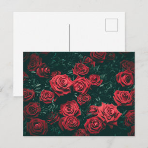 Carte Postale Fond à motif floral de roses rouges foncées lunati