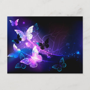 Carte Postale Fond avec papillons de nuit