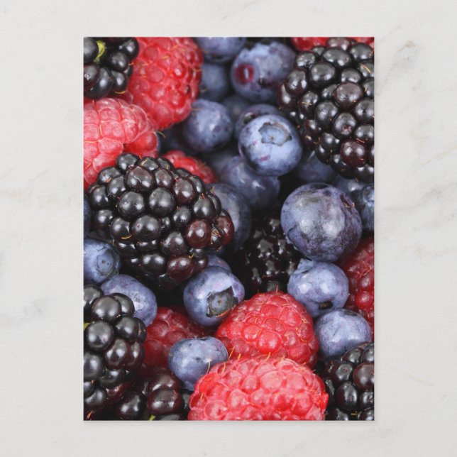 Carte Postale Fond de fruits forestiers (Devant)