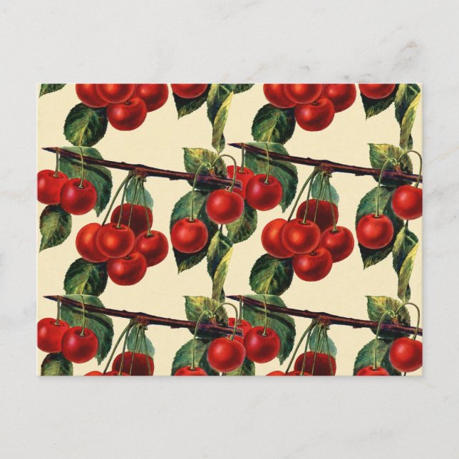 Carte Postale Fond d'écran Antique Rouge Cerise Fruit Design (Devant)