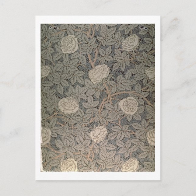 Carte Postale Fond d'écran 'Rose-90' (Devant)