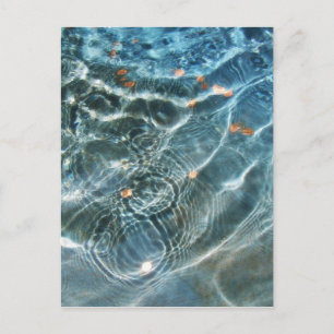 Carte Postale Fontaine