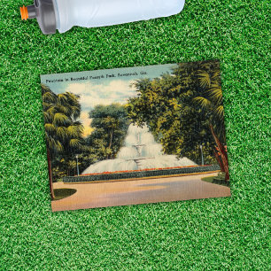 Carte Postale Fontaine à Forsyth Park Savannah GA Historic