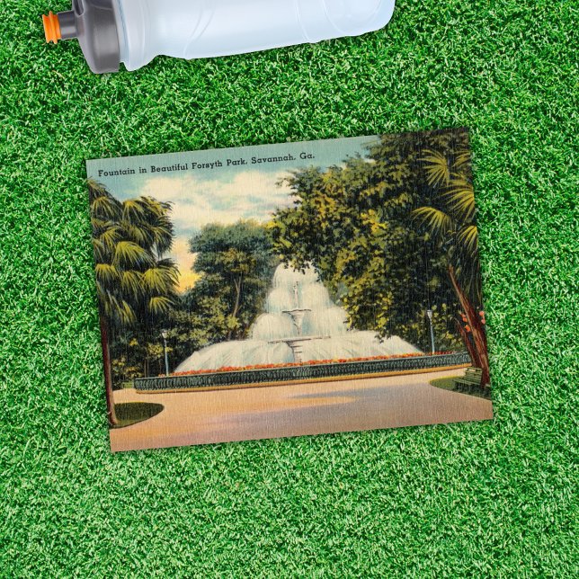 Carte Postale Fontaine dans Forsyth Park Savannah GA Historique (Créateur téléchargé)