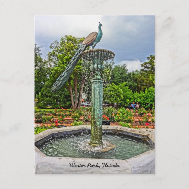 Carte Postale Fontaine Peacock & Jardin Rose dans le parc d'hive (Devant)