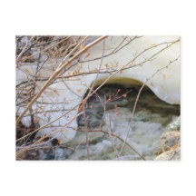 Fonte Glacée d'Hiver