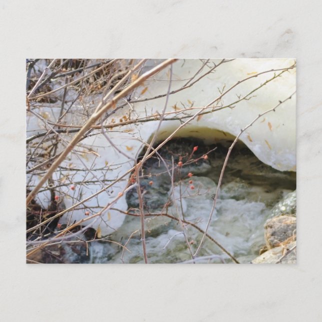 Carte Postale Fonte Glacée d'Hiver (Devant)