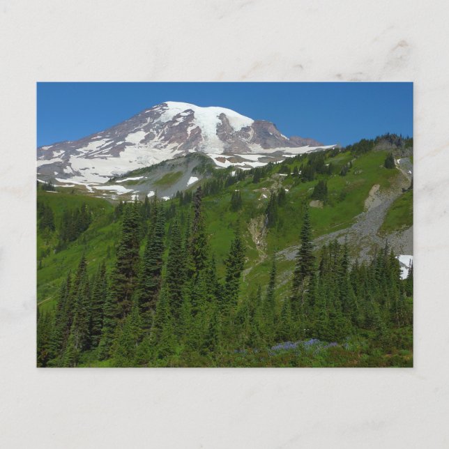 Carte Postale Fonte glaciaire au mont Rainier (Devant)