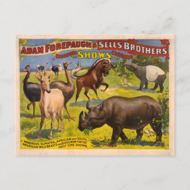 Carte Postale Forepaugh et vendre des animaux merveilleux Poster (Devant)