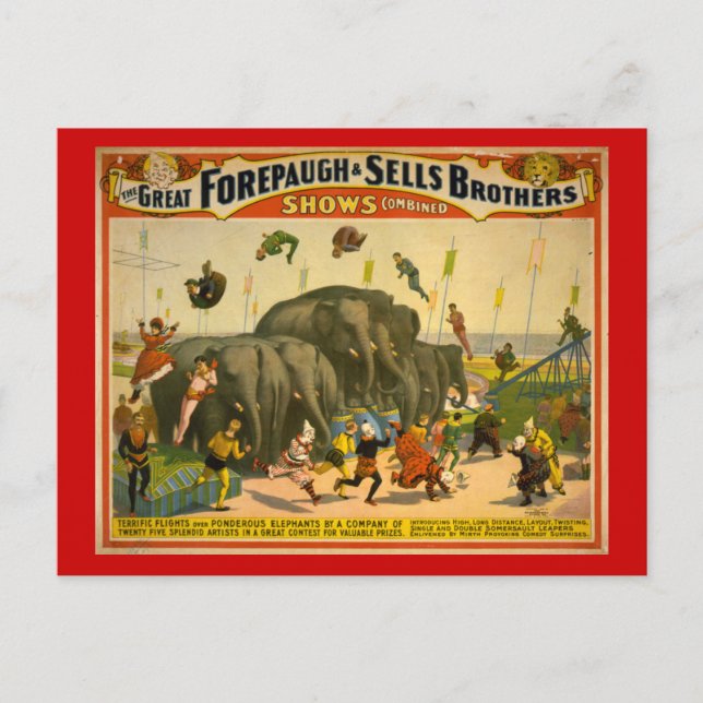 Carte Postale Forepaugh & Sells Brothers Elephants Poster Circus (Devant)