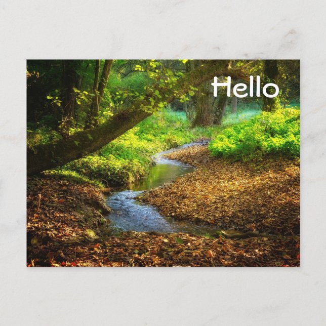 Carte Postale Forest Creek Belle nature Paysage Photo (Devant)