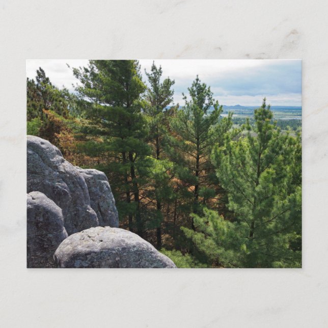 Carte Postale Forest Valley Vue sur Castle Mound (Devant)