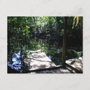 Carte Postale Forêt