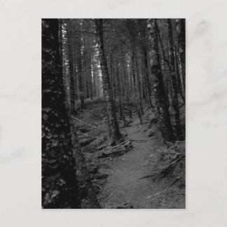 Carte Postale Forêt