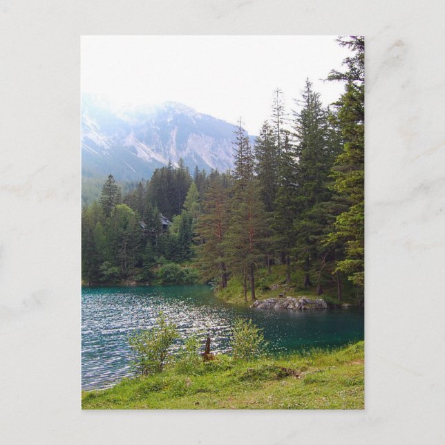 Carte Postale Forêt alpine pittoresque et lac (Devant)