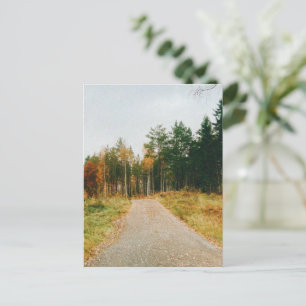 Carte Postale Forêt automnale suédoise
