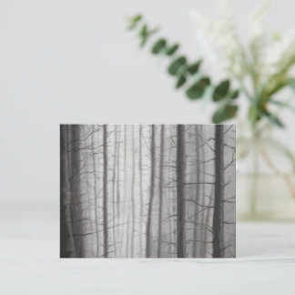 Carte Postale Forêt brûlée