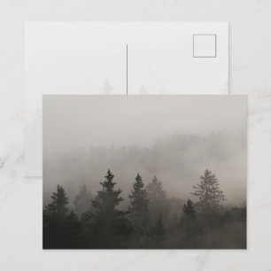 Carte Postale Forêt Brumeuse et Morose