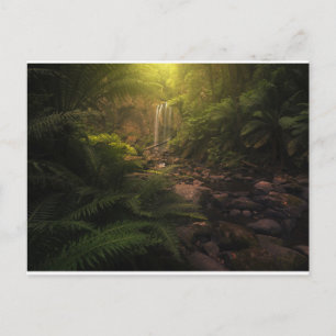 Carte Postale Forêt Cascade Sunlight Highlights