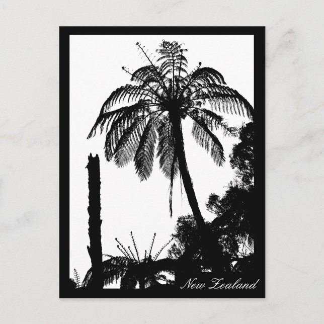 Carte Postale Forêt d'arbres, Ferme d'argent, nature Nouvelle-Zé (Devant)