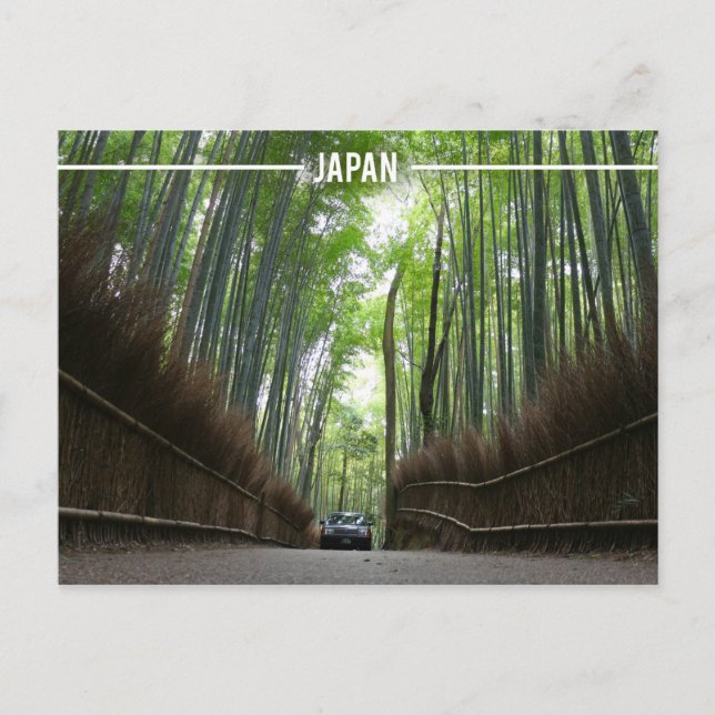 Carte Postale Forêt de Bambou Arashiyama, Kyoto Japon (Devant)