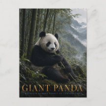 Forêt de bambou de pandas géants ANIMALS