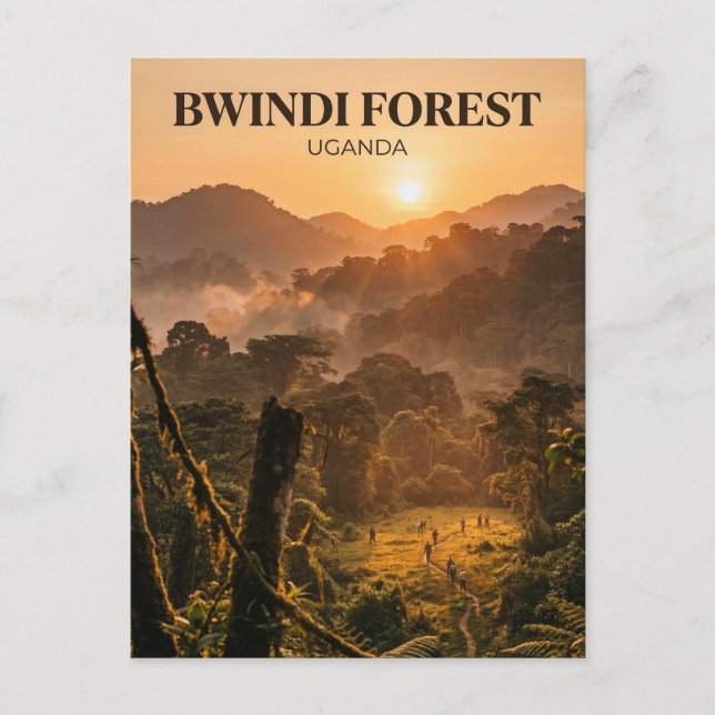 Carte Postale Forêt de Bwindi, Kanungu, Région de l'Ouest (Devant)
