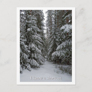 Carte Postale Forêt de conifères enneigée personnalisée