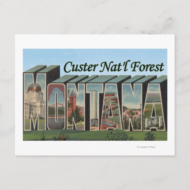 Carte Postale Forêt de Custer Nat'l, Montana (Devant)