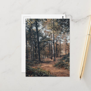Carte Postale Forêt de détente pittoresque