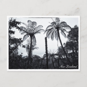 Carte Postale Forêt de fougères arborescentes, Nature, Nouvelle-