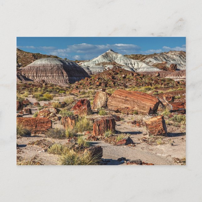 Carte Postale Forêt de Jasper (Devant)