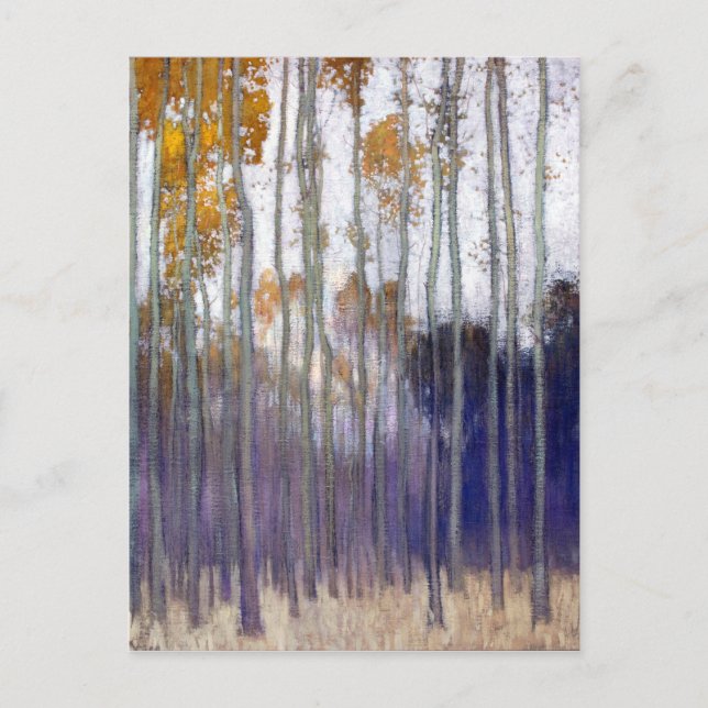 Carte Postale Forêt de Johans Valters (soleil du matin) (Devant)