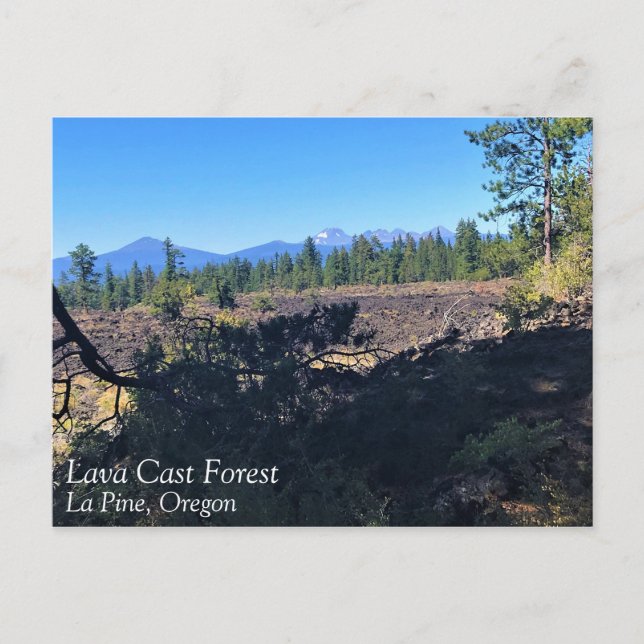 Carte Postale Forêt de lave, Oregon (Devant)