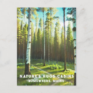 Carte Postale *~* Forêt de Maine Bouleau Évergreniens AP49