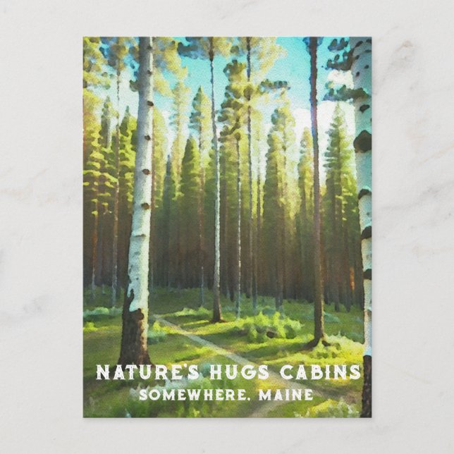 Carte Postale *~* Forêt de Maine bouleau résineux AP49 (Devant)