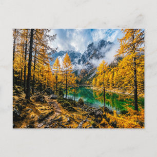 Carte Postale Forêt de mélèzes dorés au bord d'un lac de montagn