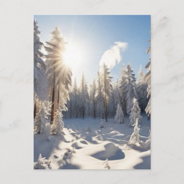 Carte Postale Forêt de neige (Devant)